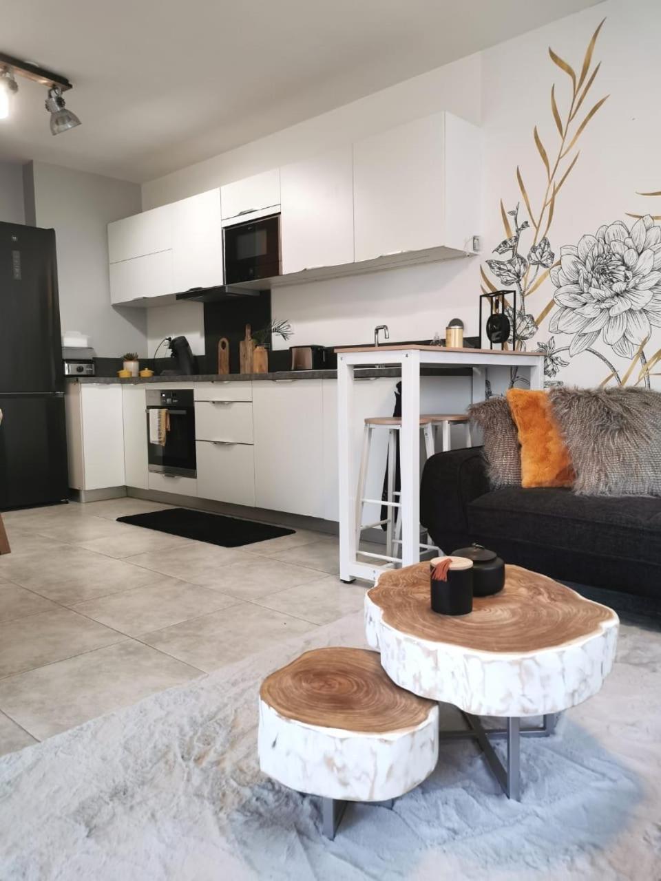 Appartement Chic & Cosy サン・ピエール エクステリア 写真
