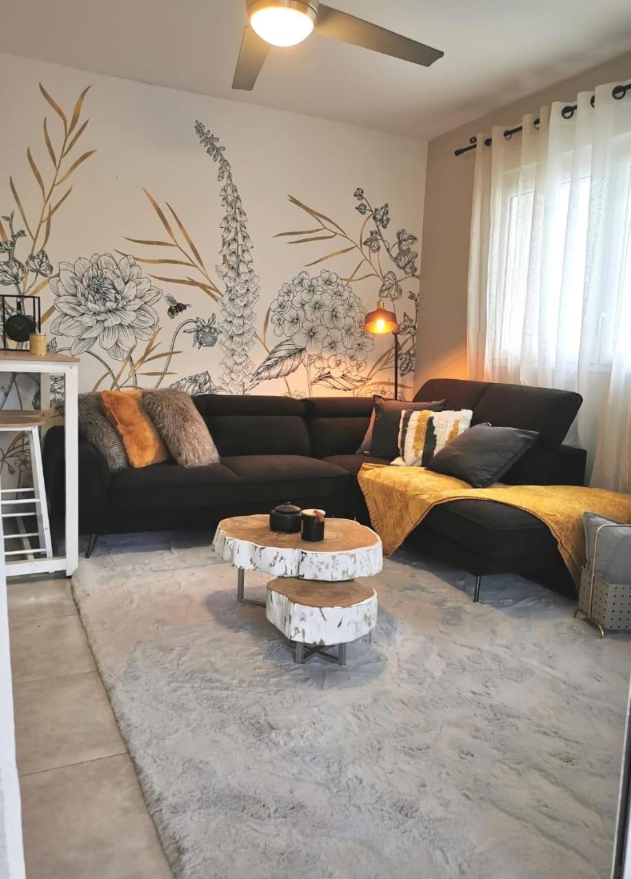 Appartement Chic & Cosy サン・ピエール エクステリア 写真